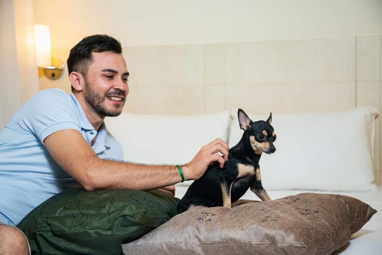 Готель Ibis Styles Belem Batista Campos Екстер'єр фото